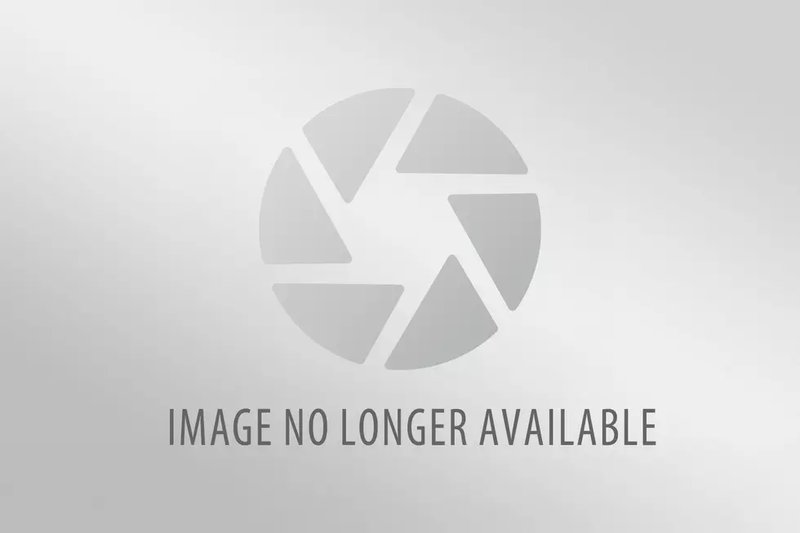 Big Bass Splash - Das Top-Spiel im Pragmatic Play Casino, big bass splash